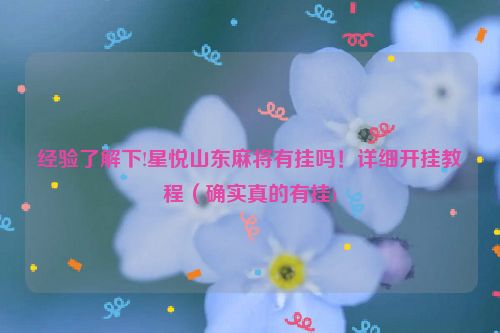 经验了解下!星悦山东麻将有挂吗！详细开挂教程（确实真的有挂)
