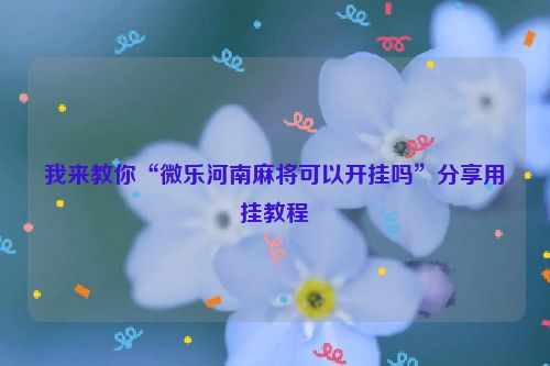 我来教你“微乐河南麻将可以开挂吗”分享用挂教程