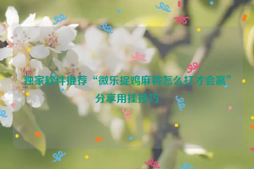 独家软件推荐“微乐捉鸡麻将怎么打才会赢”分享用挂技巧