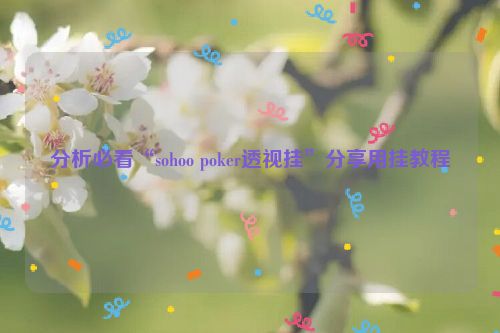 分析必看“sohoo poker透视挂”分享用挂教程