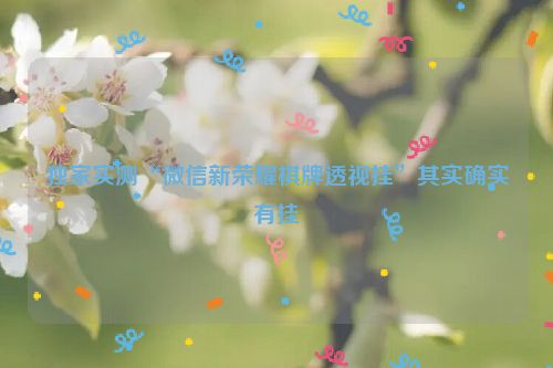 独家实测“微信新荣耀棋牌透视挂”其实确实有挂