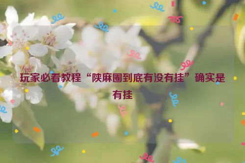 玩家必看教程“陕麻圈到底有没有挂”确实是有挂