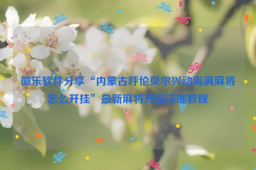 微乐软件分享“内蒙古呼伦贝尔兴动海满麻将怎么开挂”最新麻将开挂详细教程