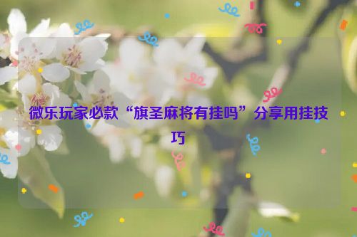 微乐玩家必款“旗圣麻将有挂吗”分享用挂技巧