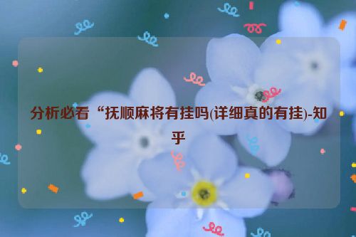 分析必看“抚顺麻将有挂吗(详细真的有挂)-知乎