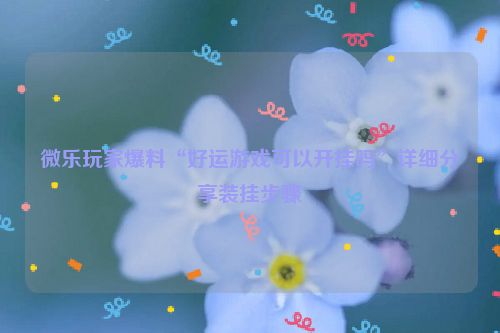 微乐玩家爆料“好运游戏可以开挂吗”详细分享装挂步骤