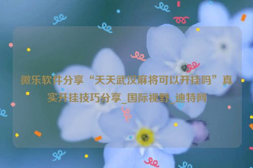 微乐软件分享“天天武汉麻将可以开挂吗”真实开挂技巧分享_国际视野_迪特网