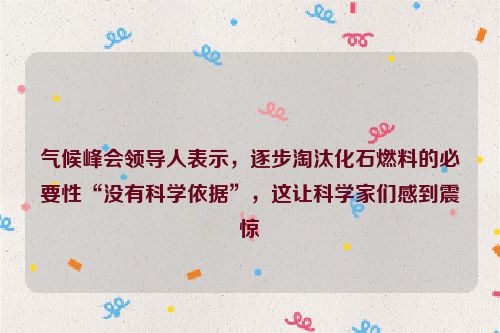 气候峰会领导人表示，逐步淘汰化石燃料的必要性“没有科学依据”，这让科学家们感到震惊