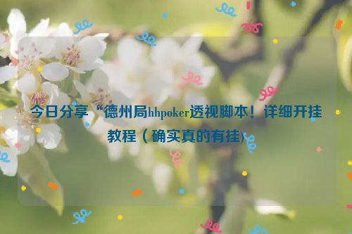 今日分享“德州局hhpoker透视脚本！详细开挂教程（确实真的有挂)
