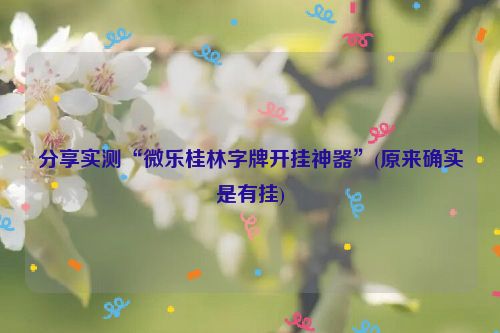 分享实测“微乐桂林字牌开挂神器”(原来确实是有挂)