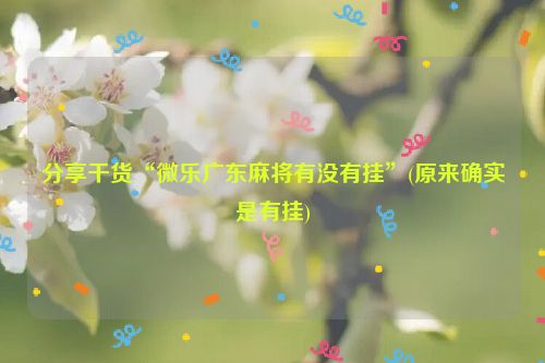 分享干货“微乐广东麻将有没有挂”(原来确实是有挂)