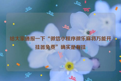 给大家通报一下“微信小程序微乐麻将万能开挂器免费”确实是有挂