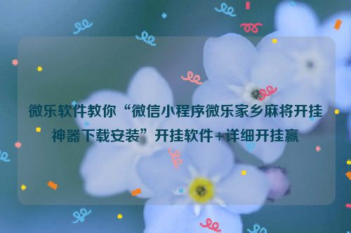 微乐软件教你“微信小程序微乐家乡麻将开挂神器下载安装”开挂软件+详细开挂赢