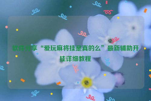 软件分享“爱玩麻将挂是真的么”最新辅助开挂详细教程