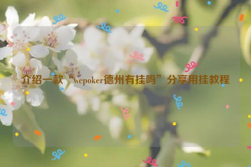 介绍一款“wepoker德州有挂吗”分享用挂教程
