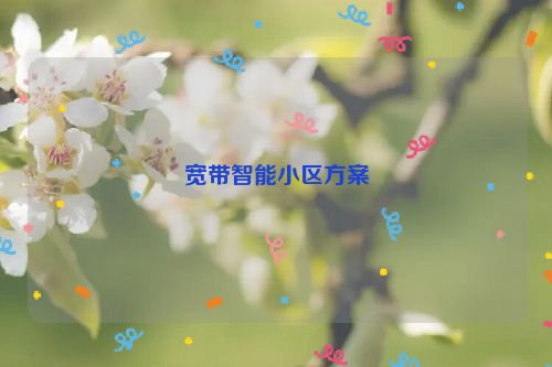 宽带智能小区方案