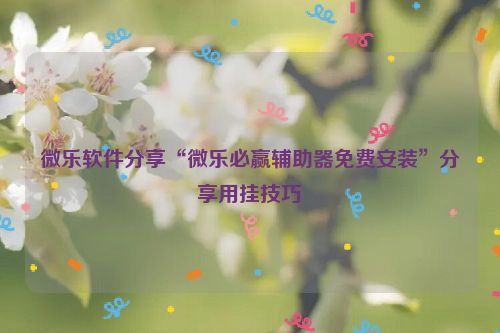 微乐软件分享“微乐必赢辅助器免费安装”分享用挂技巧