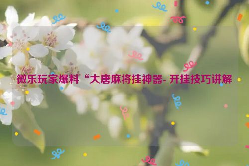 微乐玩家爆料“大唐麻将挂神器- 开挂技巧讲解