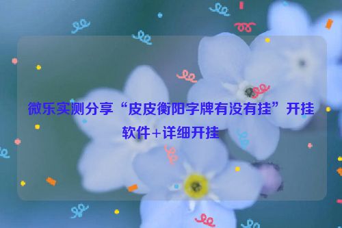 微乐实测分享“皮皮衡阳字牌有没有挂”开挂软件+详细开挂