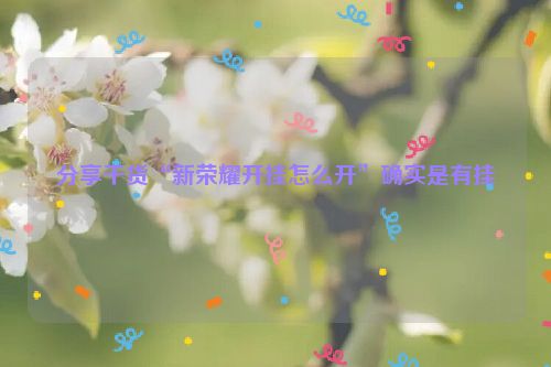 分享干货“新荣耀开挂怎么开”确实是有挂