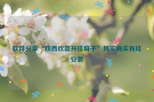 软件分享“陕西欢喜开挂麻子”其实确实有挂安装