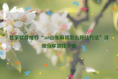 独家软件推荐“369山东麻将怎么开挂方法”详细分享装挂步骤