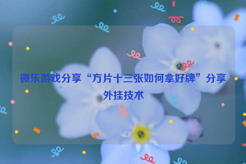 微乐游戏分享“方片十三张如何拿好牌”分享外挂技术