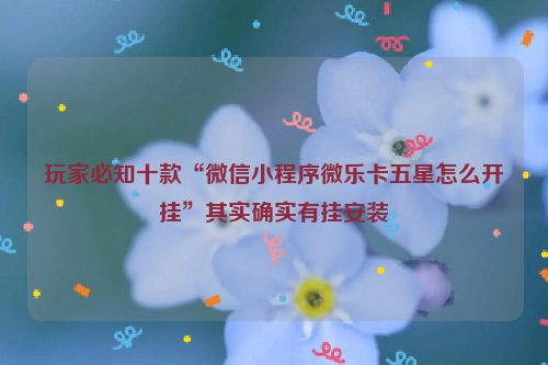 玩家必知十款“微信小程序微乐卡五星怎么开挂”其实确实有挂安装