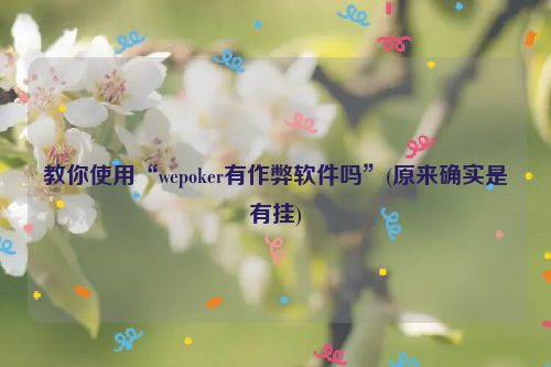 教你使用“wepoker有作弊软件吗”(原来确实是有挂)