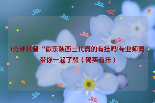 1分钟科普“微乐陕西三代真的有挂吗!专业师傅带你一起了解（确实有挂）