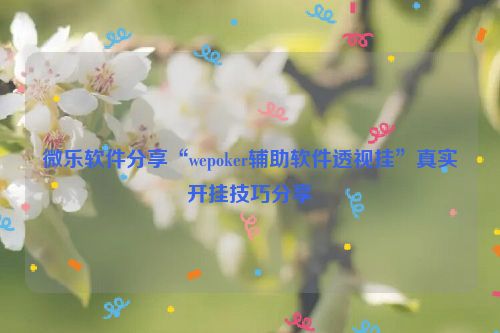 微乐软件分享“wepoker辅助软件透视挂”真实开挂技巧分享