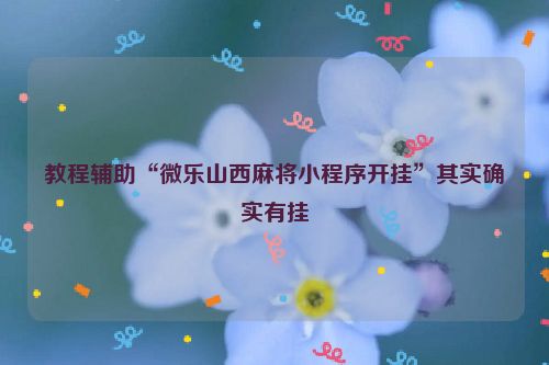 教程辅助“微乐山西麻将小程序开挂”其实确实有挂
