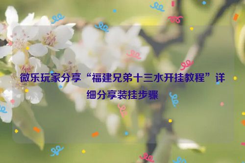 微乐玩家分享“福建兄弟十三水开挂教程”详细分享装挂步骤