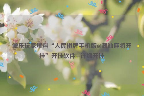 微乐玩家爆料“人民棋牌手机版66潮汕麻将开挂”开挂软件+详细开挂