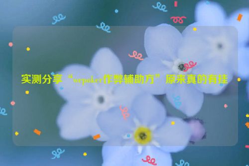实测分享“wepoker作弊辅助方”原来真的有挂