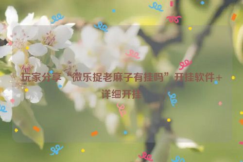 玩家分享“微乐捉老麻子有挂吗”开挂软件+详细开挂