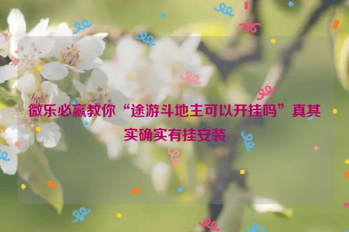 微乐必赢教你“途游斗地主可以开挂吗”真其实确实有挂安装