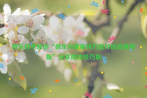 微乐技术教你“微乐内蒙麻将万能开挂器通用版”分享用挂技巧赢