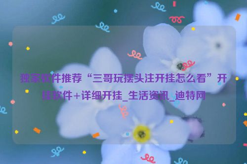 独家软件推荐“三哥玩摆头注开挂怎么看”开挂软件+详细开挂_生活资讯_迪特网