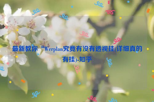 最新教你“Werplan究竟有没有透视挂(详细真的有挂)-知乎