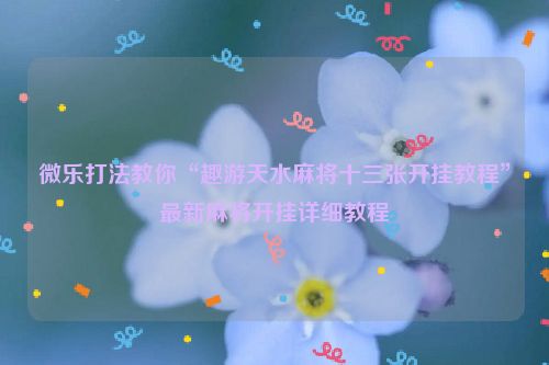 微乐打法教你“趣游天水麻将十三张开挂教程”最新麻将开挂详细教程