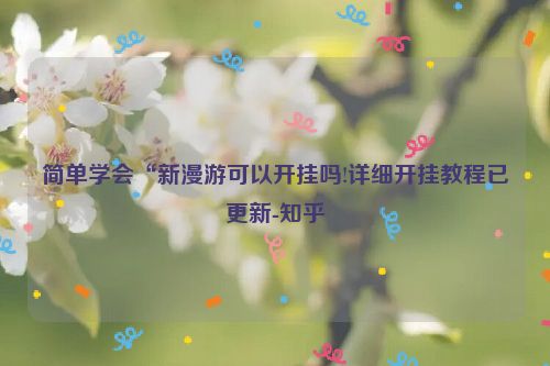 简单学会“新漫游可以开挂吗!详细开挂教程已更新-知乎
