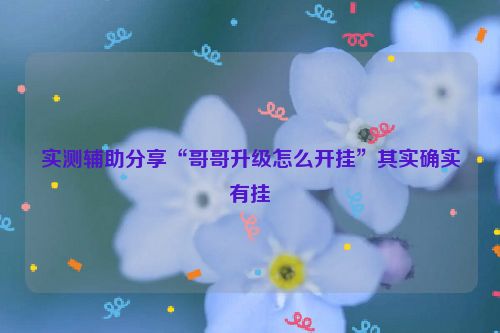 实测辅助分享“哥哥升级怎么开挂”其实确实有挂
