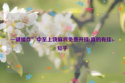 一键操作”中至上饶麻将免费开挂(真的有挂)-知乎