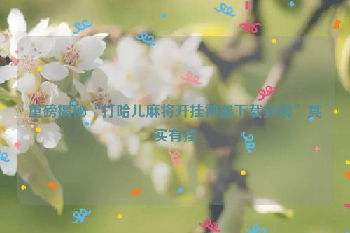 重磅揭秘“打哈儿麻将开挂神器下载安装”其实有挂