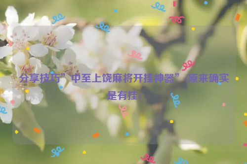分享技巧”中至上饶麻将开挂神器”(原来确实是有挂)