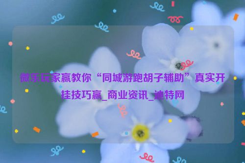 微乐玩家赢教你“同城游跑胡子辅助”真实开挂技巧赢_商业资讯_迪特网
