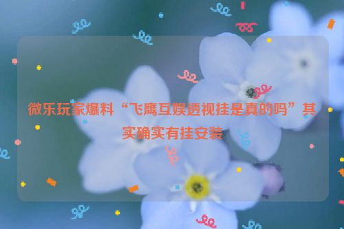 微乐玩家爆料“飞鹰互娱透视挂是真的吗”其实确实有挂安装