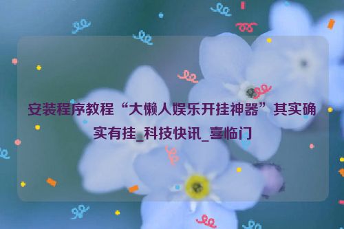 安装程序教程“大懒人娱乐开挂神器”其实确实有挂_科技快讯_喜临门