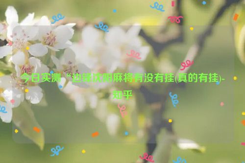 今日实测“边锋沈阳麻将有没有挂(真的有挂)-知乎